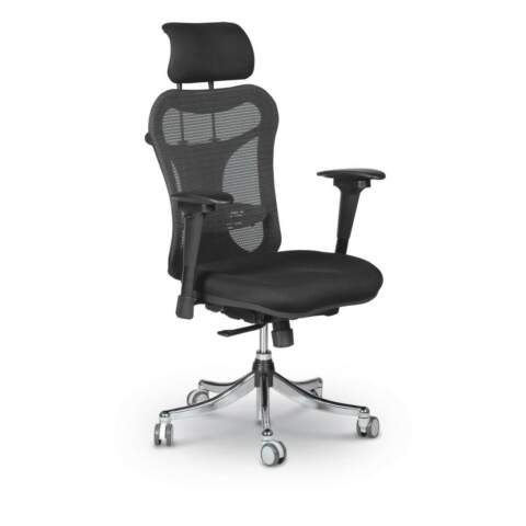 Ergo Ex Ergonomic Office Chair