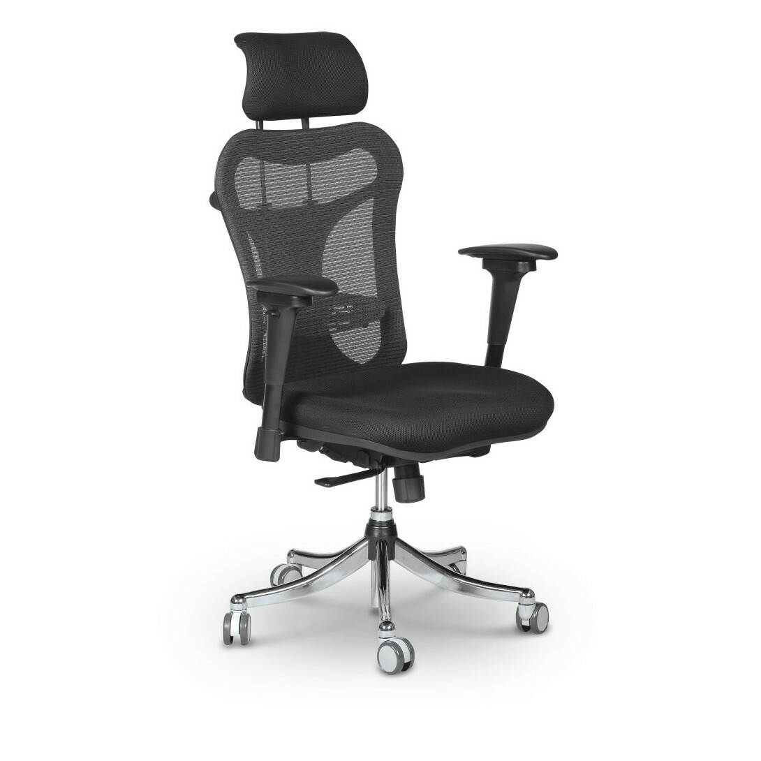 MooreCo Ergo Ex Ergonomic Office Chair - Black Seat - 5-star Base - 1 Each