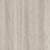Grey Elm