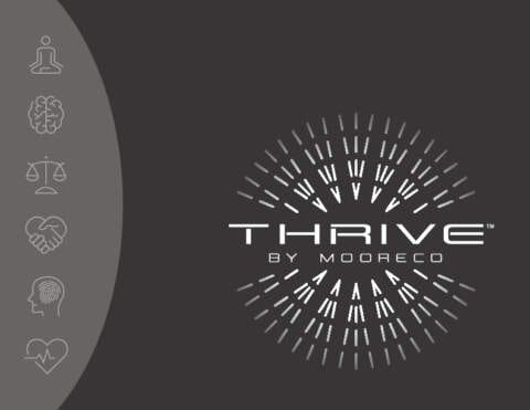 Thrive Catalog