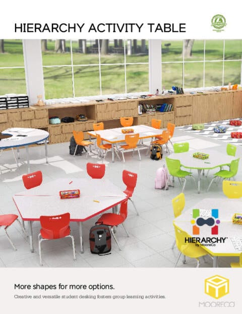 Hierarchy Activity Table Family Feature Sheet